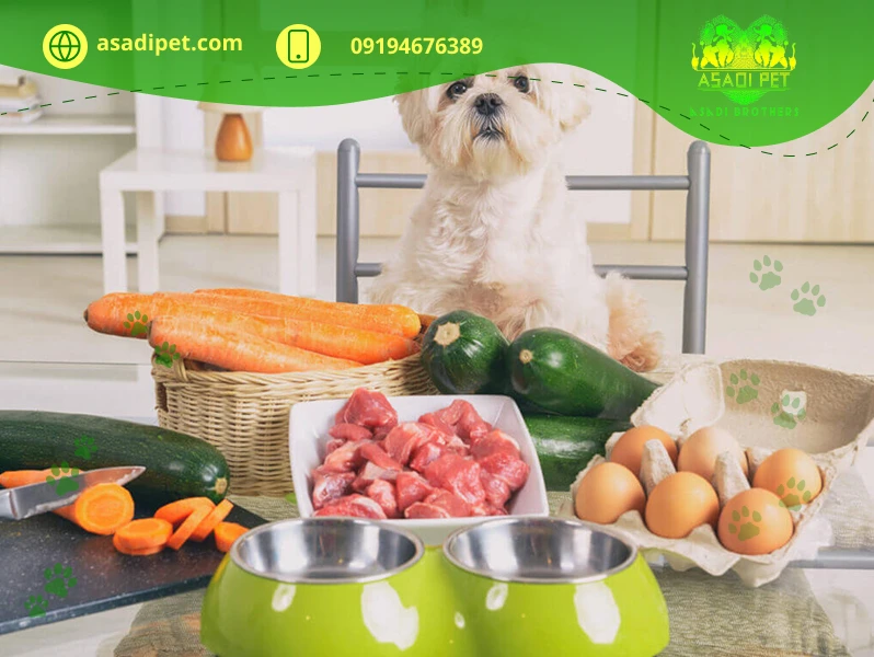 غذای سگ