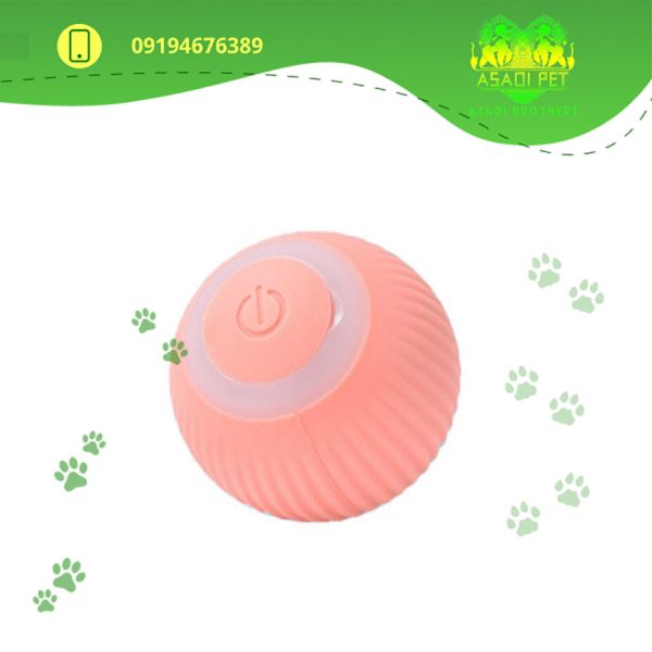 اسباب بازی سگ و گربه آلوا مدل SMART (2)