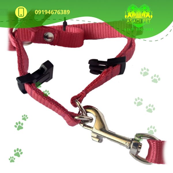 ست قلاده کتفی و گردنی سگ هایپت مدل SMPLRD (2)